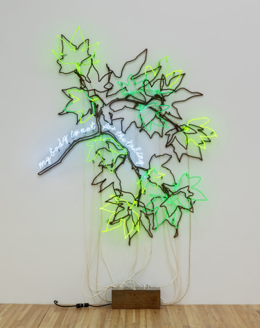 Andrea Bowers Ecofeminist Sycamore Branches: My Body Is Not for the Taking, 2019