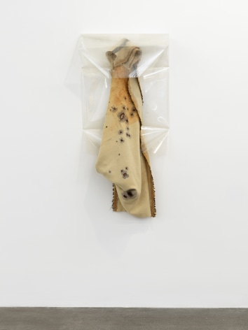 Liz Magor Toolshed (Wood Stain), 2017