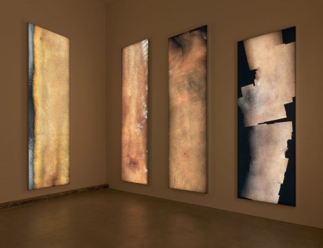 Four vertically-long LED skin works hanging on the wall in a dimly lit space.