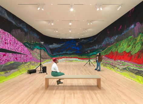 New Work: Rodney McMillian, San Francisco Museum of Modern Art