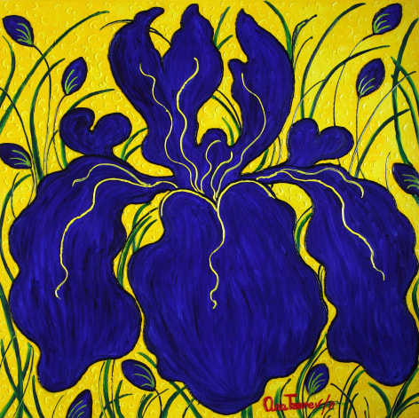 Emperator (Iris) (Garden La Fleur du Cap), 2011 n 4169