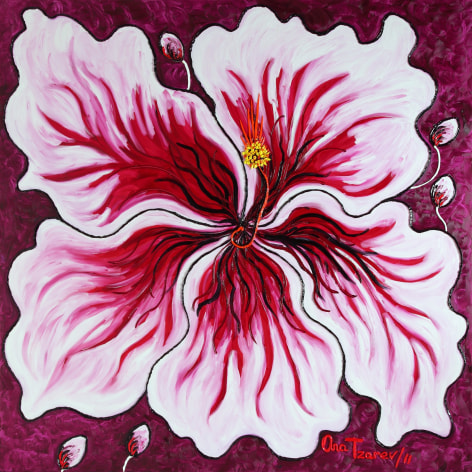 Debutante (Hibiscus)(Garden-La Fleur du Cap), 2011 n 4168