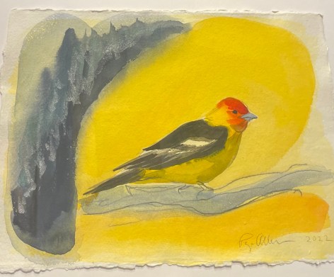 Hooded Oriole, 2022, Watercolor on paper