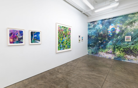 Naomi Kawanishi Reis, Installation View &quot;Strange Light&quot; Morgan Lehman Gallery, 2024