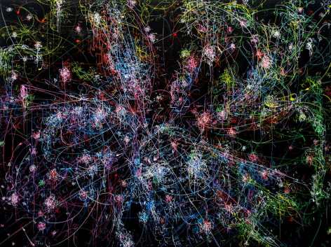 Kysa Johnson, blow up 261 - the long goodbye (hello, hello) - subatomic decay patterns and the Trifid Nebula, 2015
