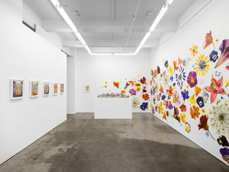 Carly Glovinski, &quot;Timekeepers and Field Guides,&quot; Installation View