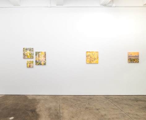 Hilary Irons, Installation View &quot;A Place of Greater Safety&quot; Morgan Lehman Gallery, 2024