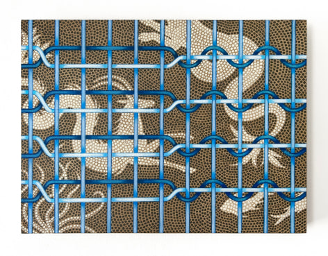 James Gold Wide Net, 2024
