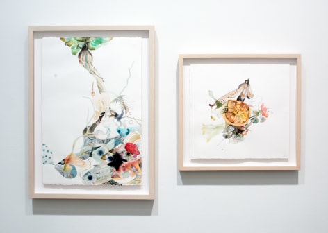 Installation view of Emilie Clark: Everything Drawings   April 17 - May 17, 2014