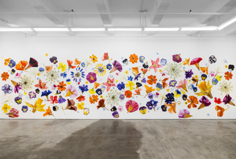Carly Glovinski: TImekeepers and Field Guides, 2023, (installation view)