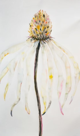 Kim McCarty, Large Petals, 2013