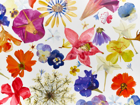 Carly Glovinski, Big Pollinator, 2022