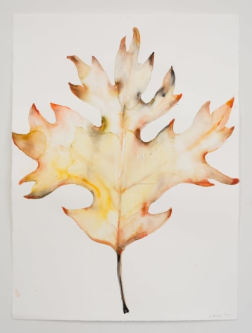 Kim McCarty, Untitled (Leaf 2), 2020