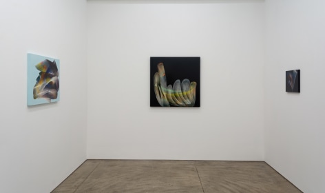 Rachel Ostrow: Tell Me Everything, 2023, (installation view)