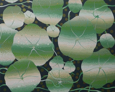 Eric Hibit, Nasturtium Leaves, 2023