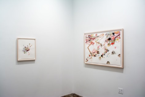Installation view of Emilie Clark: Everything Drawings   April 17 - May 17, 2014