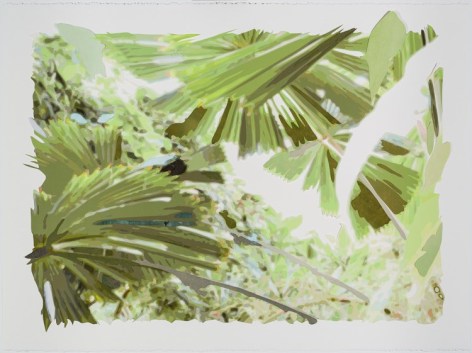 Naomi Kawanishi Reis, Botanical Construction (Rainforest), 2016