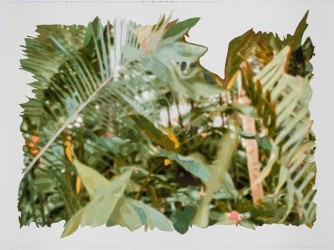 Naomi Kawanishi Reis, Botanical Construction (Tropics), 2016