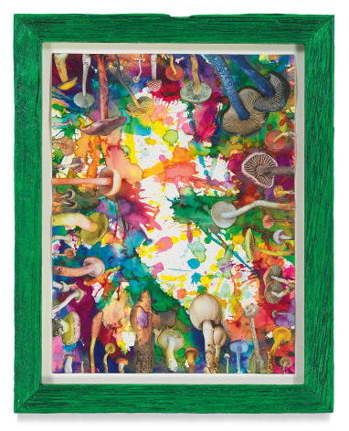 Untitled (SHRooMS), 2021, Watercolor and collage on paper with artist frame (reclaimed wood), 14 5/8 x 11 3/4 inches, 37.1 x 29.8 cm, MMG#33193