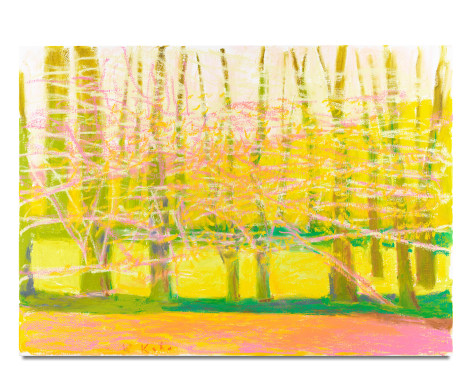 Bright Spring, 2019, Oil on canvas, 30 x 42 inches, 76.2 x 106.7 cm, MMG#31249