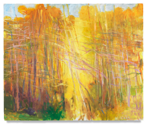 Yellow Middle, 2007, Oil on canvas, 44 x 52 inches, 111.8 x 132.1 cm, MMG#17810