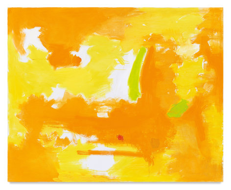 Untitled #5, 1998, Oil on canvas, 42 x 52 inches, 106.7 x 132.1 cm, MMG#6678