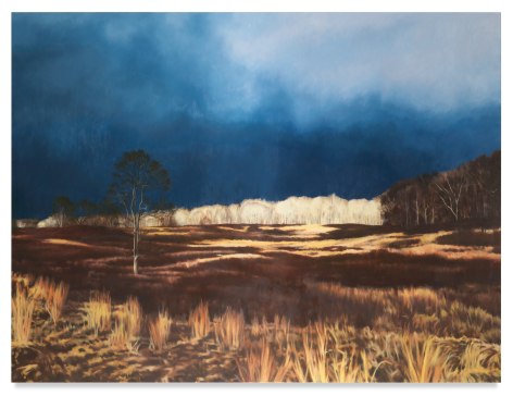 Field, 2019, Oil on linen, 75 x 100 inches, 190.5 x 254 cm,&nbsp;MMG#31250