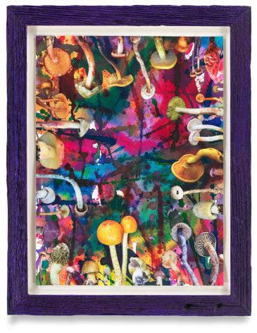 Untitled (SHRooMS purple frame), 2020, Watercolor and collage on paper with artist frame (reclaimed wood), 14 1/2 x 11 1/2 inches, 36.8 x 29.2 cm, MMG#32888