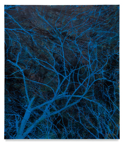 Dendriform (blue), 2022, Mixed medium on canvas, 68 1/2 x 59 inches, 174 x 150 cm, MMG#34335
