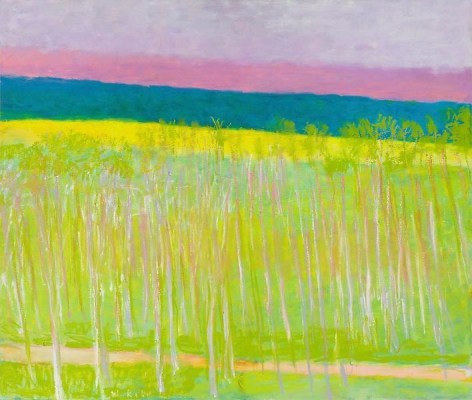 Green, Pink + Yellow, 2010, Oil on canvas, 44 x  52 inches, 111.8 x 132.1 cm, A/Y#18936