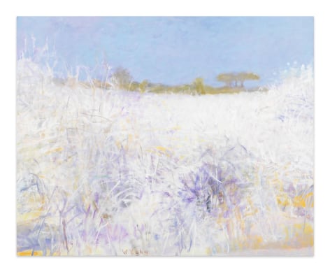 Thornbush Desert, 2000, Oil on canvas, 40 x 52 inches, 101.6 x 132.1 cm, MMG#32503