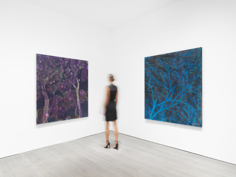 New York, NY: Miles McEnery Gallery, &#039;Elizabeth Magill: Flag Iris,&#039; 8 September - 15 October 2022