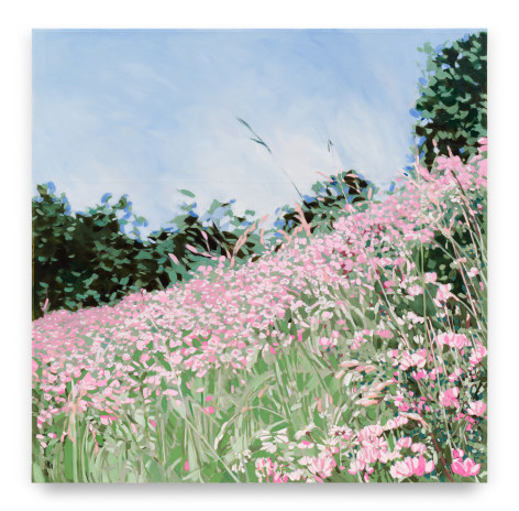 Pink Wildflowers, 2023, Mixed Media Oil on Canvas, 51 x 51 inches, 129.5 x 129.5 cm, MMG#35506