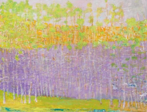 Complex, 2009, Oil on canvas, 52 x 68 inches, 132.1 x 172.7 cm, A/Y#19019