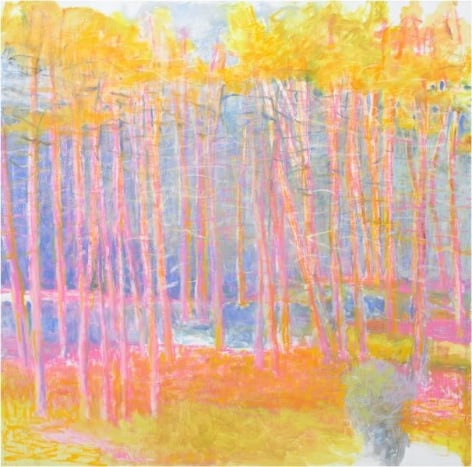 Wolf Kahn, Quarter Mile View, 2014, Oil on canvas, 64 x 64 inches, 162.6 x 162.6 cm, A/Y#21565