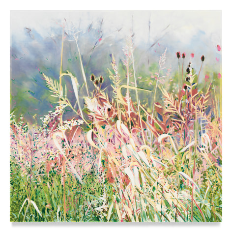 Field Flowers, 2022, Mixed media oil on canvas, 34 x 34 inches, 86.4 x 86.4 cm, MMG#34086