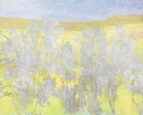 Silvery Grove, 2009, Oil on canvas, 52 x 64 inches, 132.1 x 162.6 cm, A/Y#18860