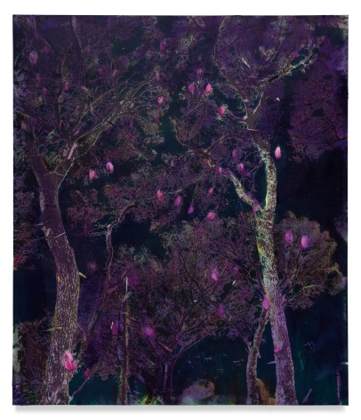 Magnolia, 2022, Mixed medium on canvas, 68 1/2 x 59 inches, 174 x 150 cm, MMG#34386
