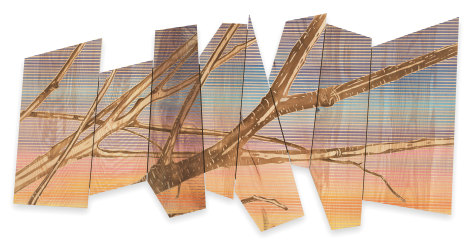New Branches, 2022, Acrylic on maple, curly maple and elm, 36 3/4 x 72 x 2 inches, 93.3 x 182.9 x 5.1 cm, MMG#34195
