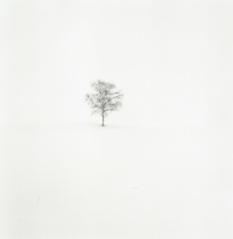 Field of Snow, Biei, Hokkaudo, Japn, 2004
