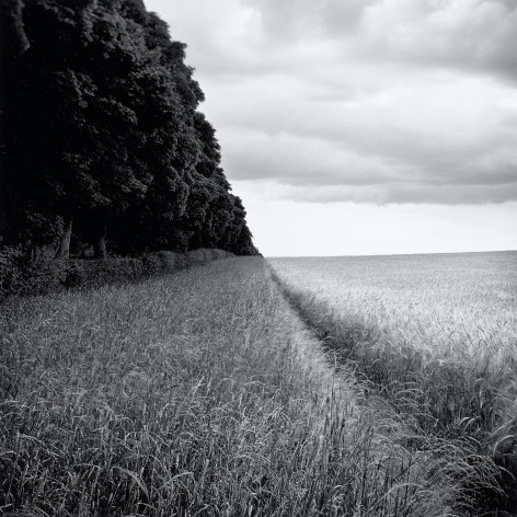 Ammer, from the series Farmed, 2009