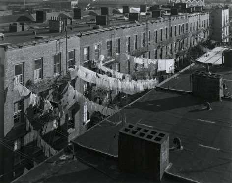 Tenement Rooftops, Hoboken, New Jersey, 1974