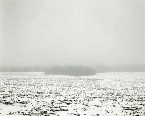 Untitled, from Illinois Landscapes, 1982, gelatin silver contact print, 8 x 10 inches