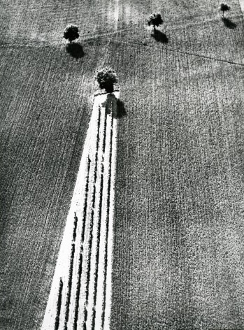 Mario Giacomelli, untitled, from the series On Being Aware of Nature