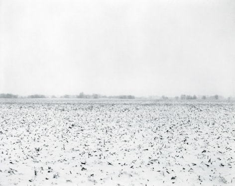 Rhondal McKinney, untitled, Ilinois Landscape