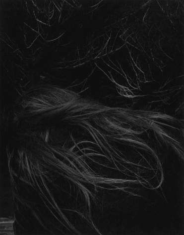 untitled (twigs and hair)