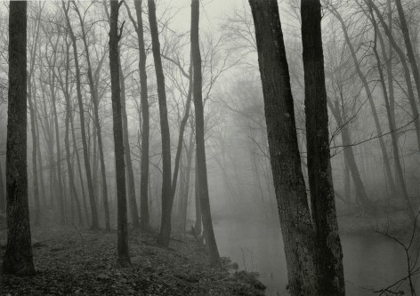 Fog and Trees, Redding, Connecticut, 1968, vintage gelatin silver print