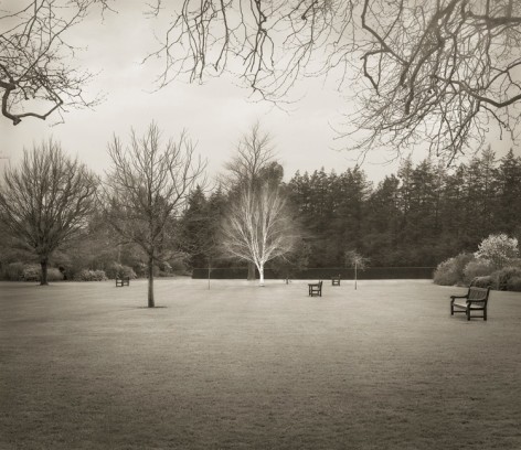 Lawn, Hall Place, from the series In the Garden, 2001