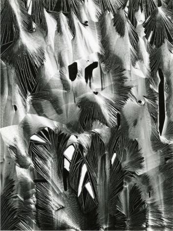 Brett Weston, Plastic