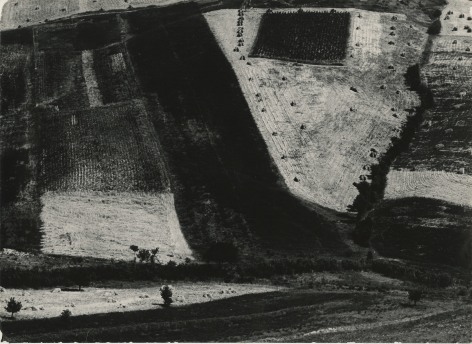 Paesagio, 1958